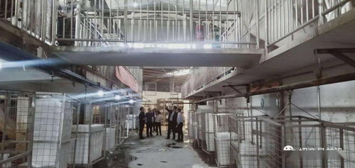 綠色包裝與節(jié)能保溫材料項(xiàng)目成功簽約，金屬裝飾材料零售市場(chǎng)迎新機(jī)